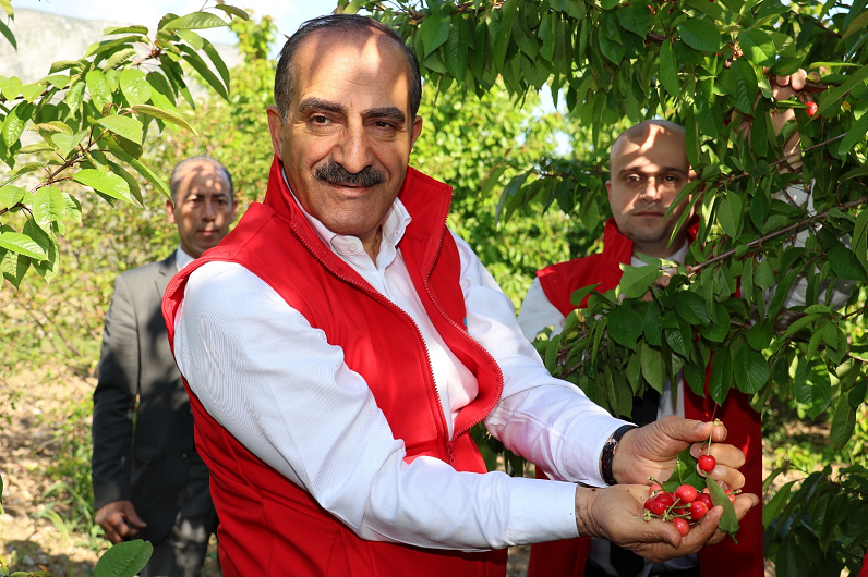 Kirazda rekor yılı: 205 milyon dolara ulaştı