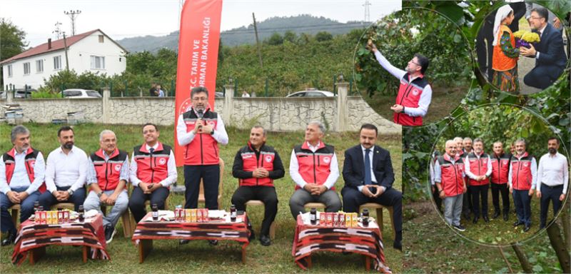 BAKAN YUMAKLI: “TMO FINDIK ALIMLARINA 28 AĞUSTOS’TA BAŞLAYACAK”