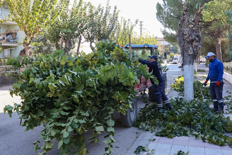 YUNUSEMRE’DE BUDAMA ÇALIŞMALARI DEVAM EDİYOR