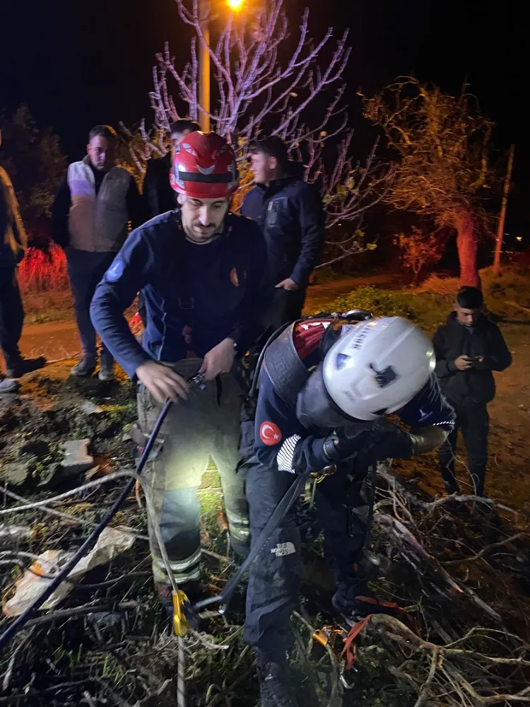 İtfaiye ekipleri buzağıyı düştüğü kuyudan çıkardı