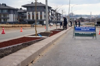 BÜYÜKŞEHİR’DEN “KURU PEYZAJ” ÇALIŞMASI