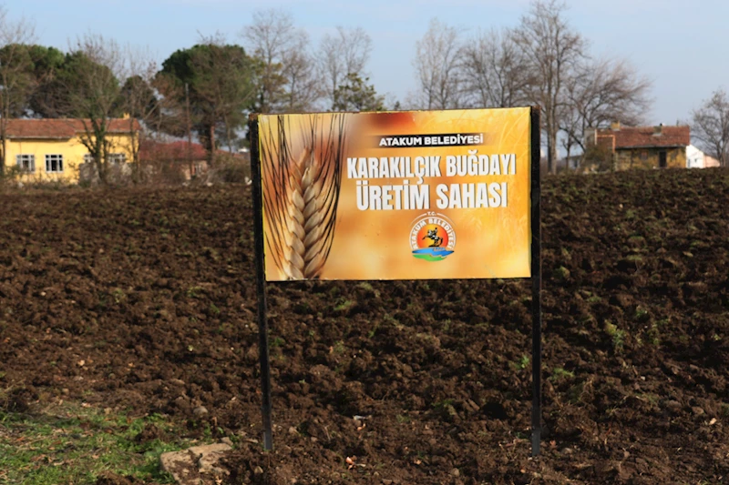 Başkan Türkel’den tarımsal üretime destek