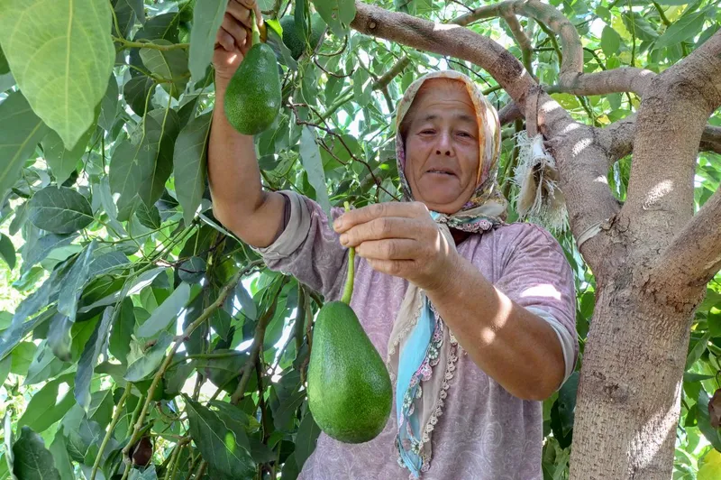 Mersin