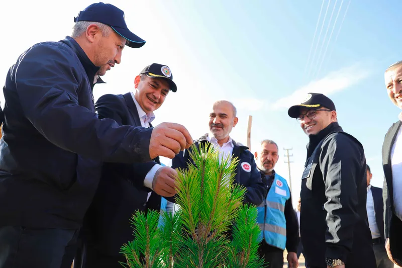 11 Kasım Milli Ağaçlandırma Günü