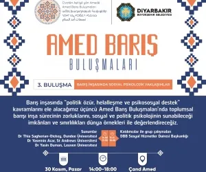 Amed Barış Buluşmaları