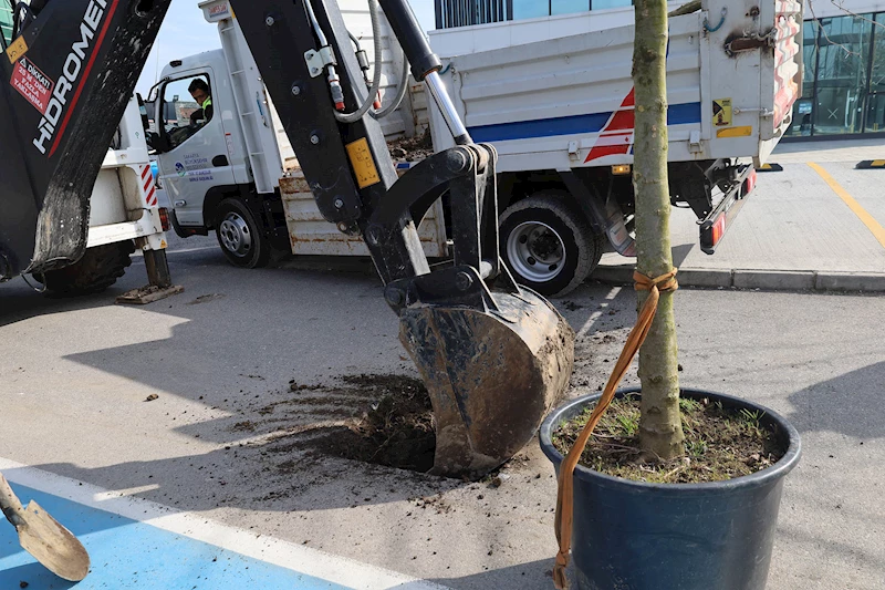 Büyükşehir ‘yeşil’ dokunuşla şehrin çehresini değiştiriyor