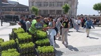 Mardin Büyükşehir Belediyesi