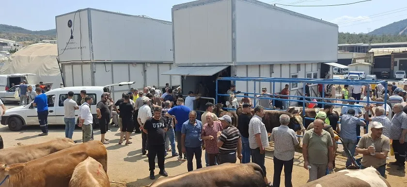 Büyükşehir’den bayramda güvenli ve hijyenik kesim hizmeti 