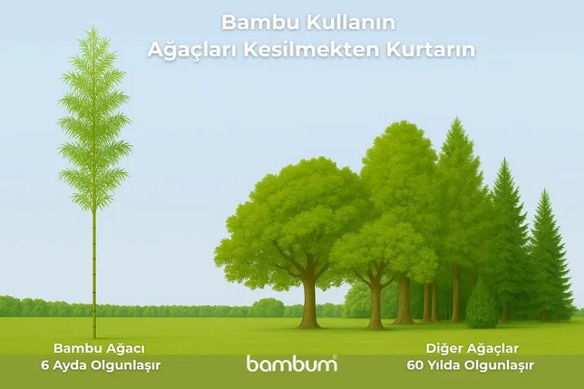 Bambu Kullanın, Ağaçları Kesilmekten Kurtarın